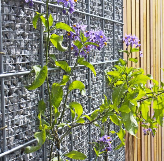 Grinschutting close up met bloemen verkleind