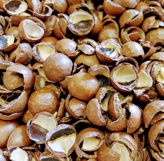 Macadamiadoppen verkleind